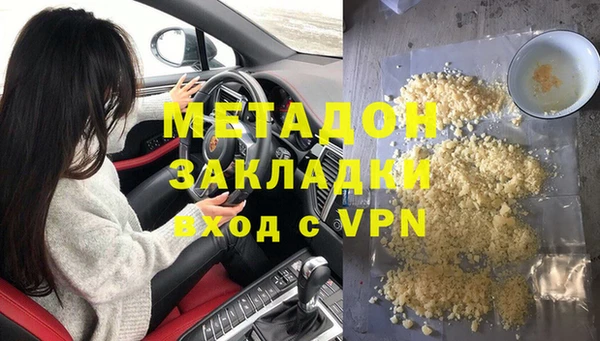 прущие грибы Елизово